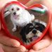 Lesley Dick - Facebook