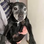 Lesley Dickinson - @dickinson_lesley - Instagram