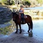 Lesley Dickinson - @lesley.dickinson.756 - Instagram
