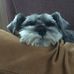 Lesley Dillon - Facebook