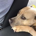 Lesley Dillon - @lesdil17 - Instagram