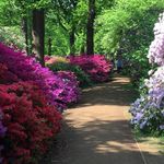 Lesley Dodd - @lesley.dodd.39 - Instagram
