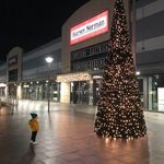 Lesley Dodd - @lesley.dodd.5 - Instagram