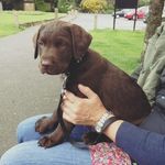 Lesley Draper - @draper9583 - Instagram