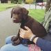 Lesley Draper - Facebook