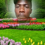 William Lesley Dube - @williamlesleydube - Instagram