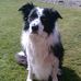 Lesley Dyer - Facebook