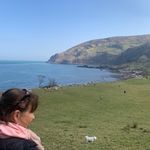 Lesley Dyer - @lesleydyer656 - Instagram