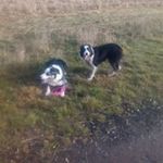 Lesley Dyer - @lesley.dyer.165 - Instagram