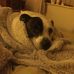 Lesley Dyer - Facebook