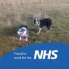 Lesley Dyer - @lesley.dyer - TikTok