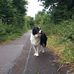Lesley Dyer - Facebook