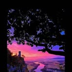 Lesley Fair - Facebook