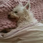 @lesl.eyfield - Instagram