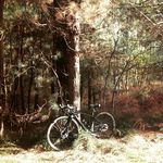 Lesley Fuller - @lelf40ish - Instagram