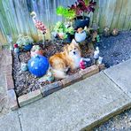 Lesley Fuller - Facebook