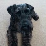 Lesley fuller - @qw2fuller - Instagram