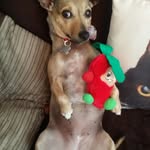 Lesley Fullerton - @fullertonlesley - Instagram