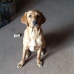 Lesley Gardner - @lesley.shellard - Instagram