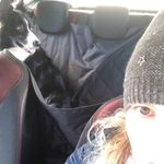 Lesley Gardner - @lellygardner - Instagram