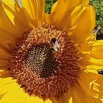 Lesley Garner - @lesley.garner - Instagram