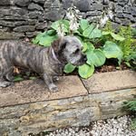 Lesley Packham - @lesleygarner56 - Instagram