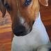 Lesley Gibson - Facebook