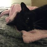 Lesley Greene - @lhgreene123 - Instagram