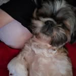 Lesley Greer - @greerlesley - Instagram