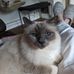 Lesley Gross - Facebook
