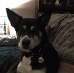Lesley Harbinson - Facebook