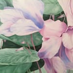 Lesley Harrington - @lesley.harrington.397 - Instagram