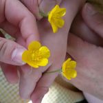 Lesley Head - @lesley_head - Instagram