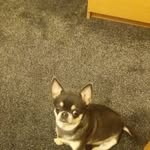 Lesley Heller - @lesley.heller.58 - Instagram