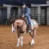 EL.JEFE.HESTER’ - @leslie.hester1 - TikTok