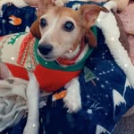 Lesley higgins - @lesleyhiggins525 - Instagram