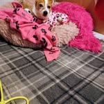 Lesley Voilet Higgins - @lesleyhiggins22 - Instagram