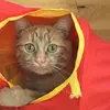 Lesley.Higgins70 - @lesley.higgins70 - TikTok