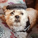 Lesley Hindle - @lesleyp10 - Instagram