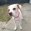 Lesley Notrite Hindle - @lesley.notrite.hi - TikTok