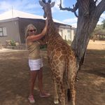 Lesley Hogan - @lesleyhogan8 - Instagram
