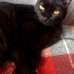 Lesley Holder - @lesley.holder.92 - Instagram