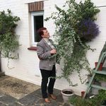 Lesley Holmes - @lesleyholmes26 - Instagram