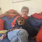 Lesley Holmes - @lesleyholmes12 - Instagram