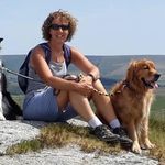 Lesley Holmes - @lesleyholmes257 - Instagram