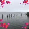 lesleyholmes274 - @lesleyholmes274 - TikTok