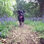 Lesley Holt - @lr_harris1 - Instagram