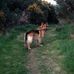 Lesley Hook - Facebook