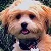 lesley hyde - @lesley.hyde - TikTok