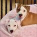 Lesley Irwin - Facebook